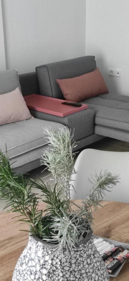 Elena Apartments Olympiada Eksteriør billede